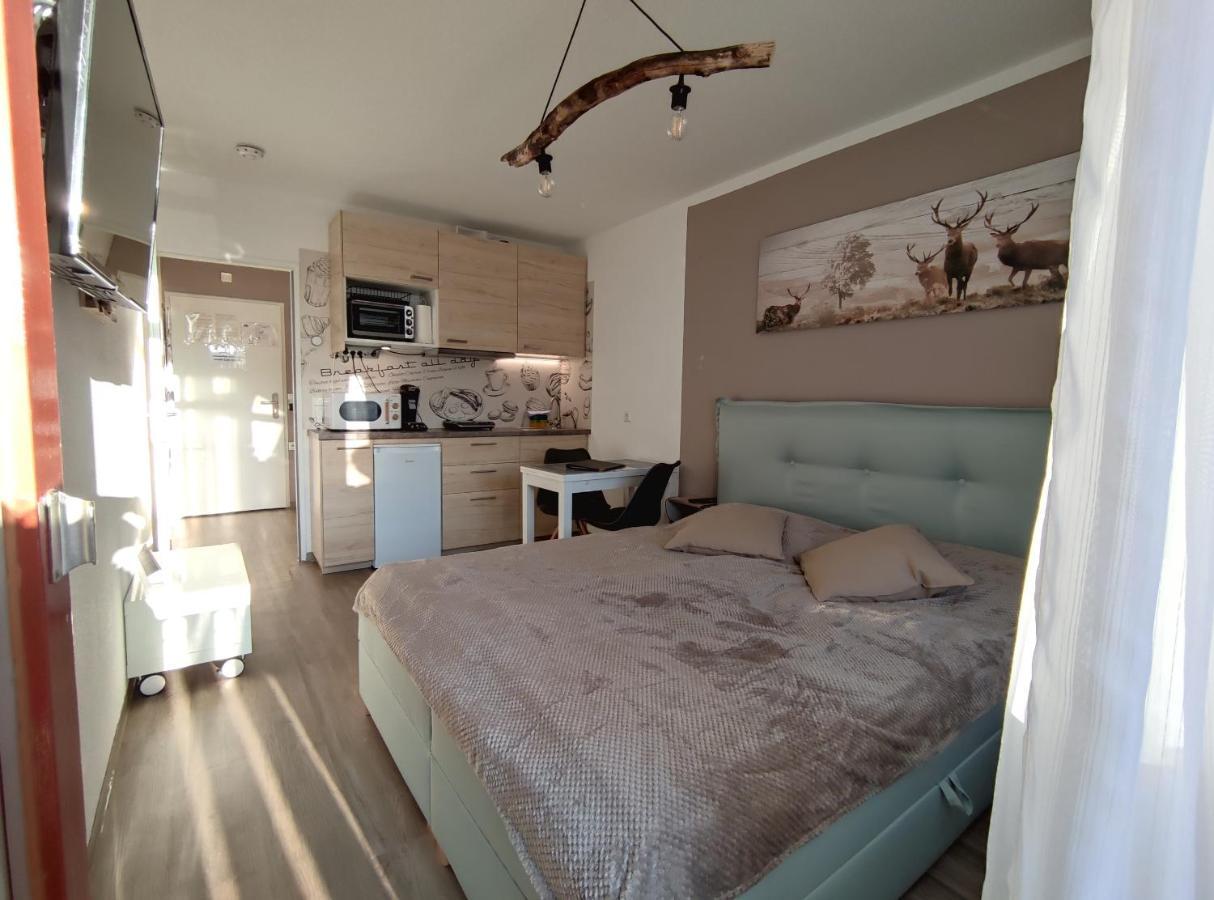 Studio 20Qm Mit Balkon Und Innenpool - 22010 Schluchsee Zewnętrze zdjęcie